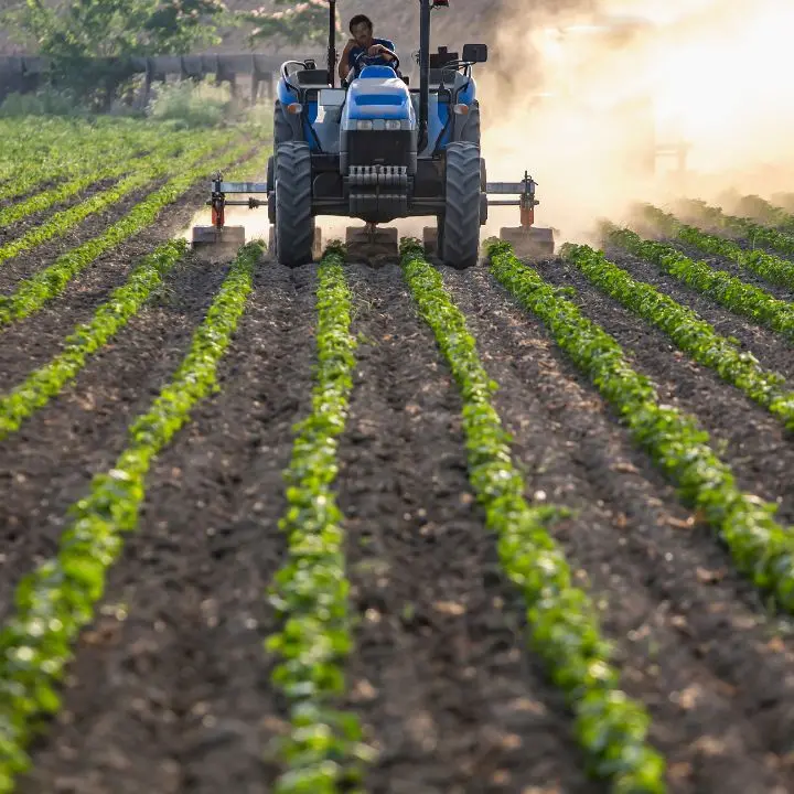<p>«Basta produrre in perdita»: agricoltori calabresi sul piede di guerra, proclamato lo stato di agitazione permanente</p>
