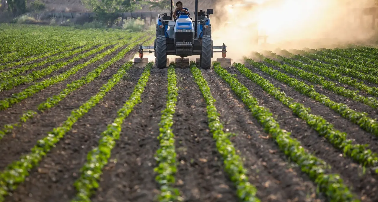 «Basta produrre in perdita»: agricoltori calabresi sul piede di guerra,\u00A0proclamato lo stato di agitazione permanente\n