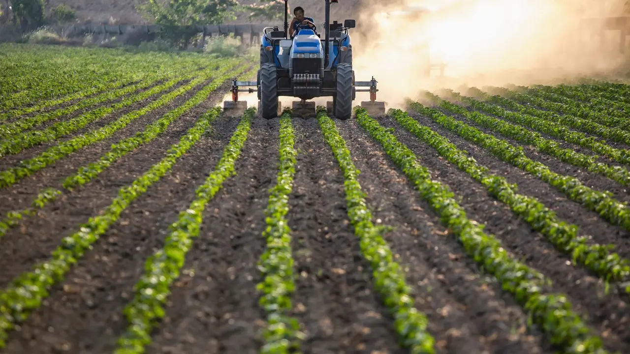 «Basta produrre in perdita»: agricoltori calabresi sul piede di guerra,\u00A0proclamato lo stato di agitazione permanente\n