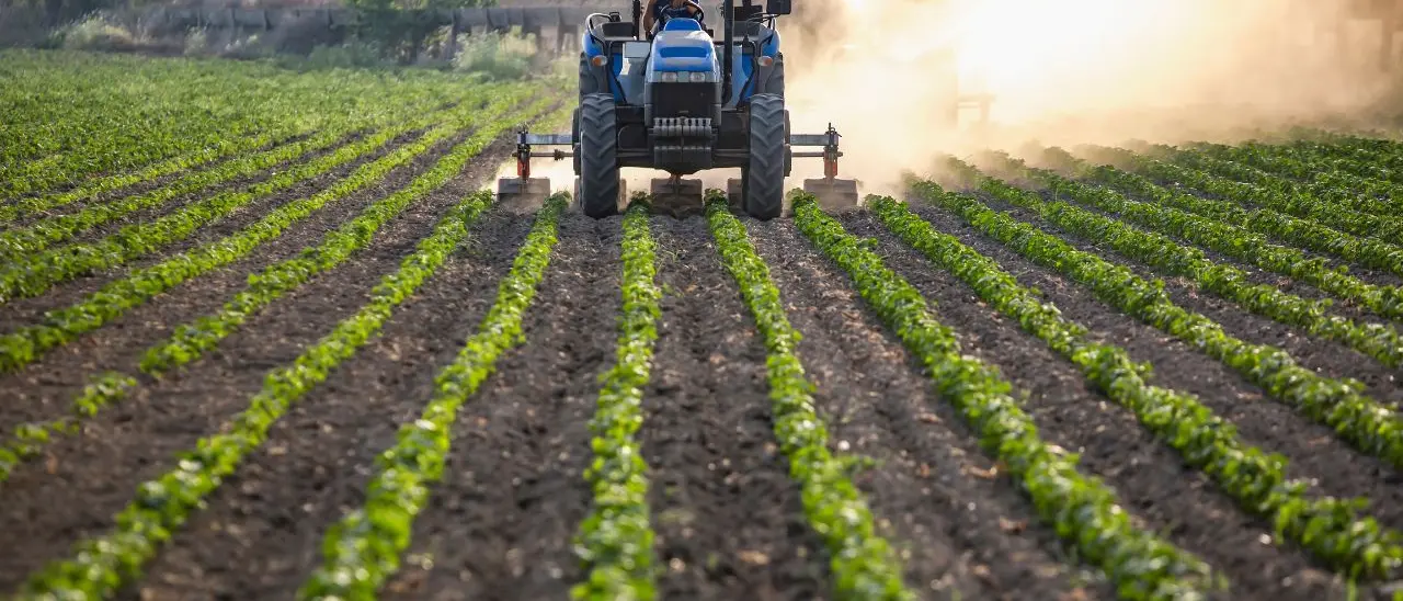 «Basta produrre in perdita»: agricoltori calabresi sul piede di guerra,\u00A0proclamato lo stato di agitazione permanente\n