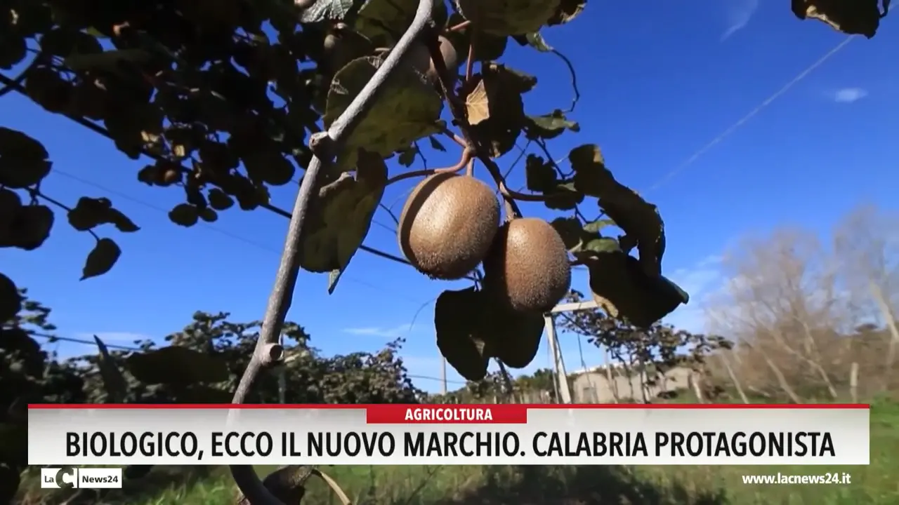 Biologico, ecco il nuovo marchio: Calabria protagonista