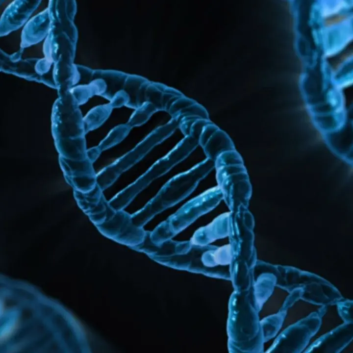 IA e ricerca genetica,\u00A0Luisa Infante: «La possibilità di intervenire sulla biologia umana non sia prerogativa di pochi»\n