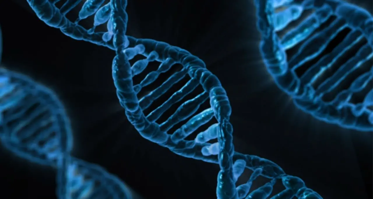 IA e ricerca genetica,\u00A0Luisa Infante: «La possibilità di intervenire sulla biologia umana non sia prerogativa di pochi»\n