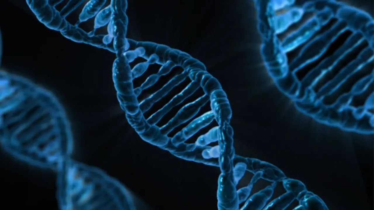 IA e ricerca genetica,\u00A0Luisa Infante: «La possibilità di intervenire sulla biologia umana non sia prerogativa di pochi»\n