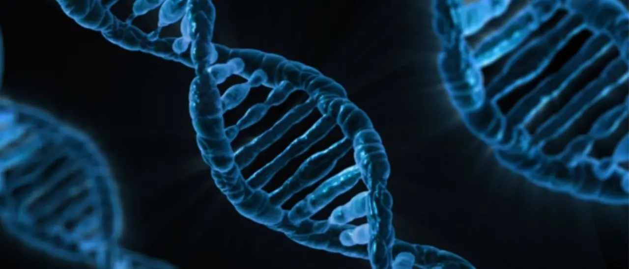 IA e ricerca genetica,\u00A0Luisa Infante: «La possibilità di intervenire sulla biologia umana non sia prerogativa di pochi»\n