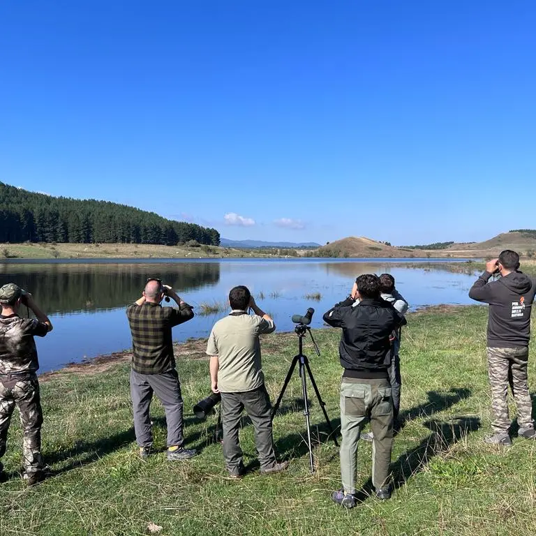 Dalla Sila alla foce del Mesima, torna l’Eurobirdwatch: tre eventi in Calabria per osservare gli uccelli\n