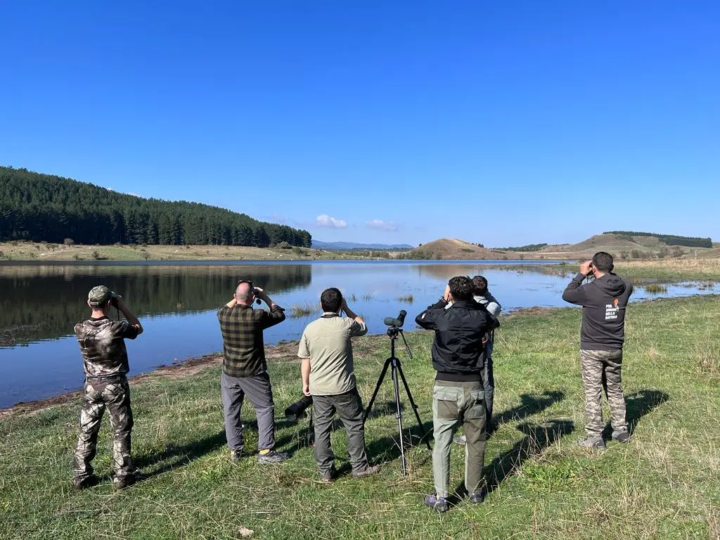 Dalla Sila alla foce del Mesima, torna l’Eurobirdwatch: tre eventi in Calabria per osservare gli uccelli\n
