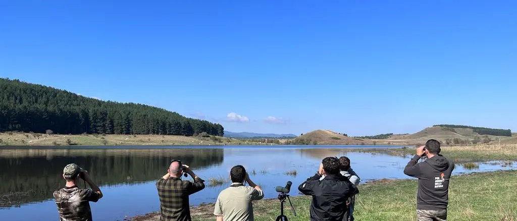 Dalla Sila alla foce del Mesima, torna l’Eurobirdwatch: tre eventi in Calabria per osservare gli uccelli\n