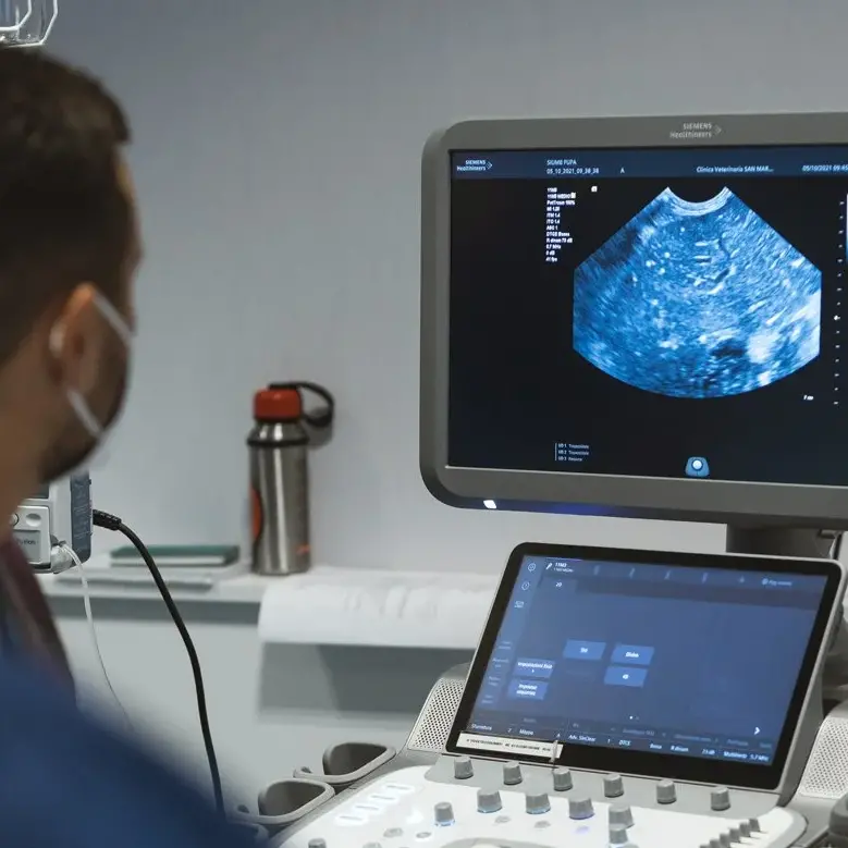 A Catanzaro la formazione nazionale SIUMB: oltre 300 professionisti per il corso di ultrasonologia