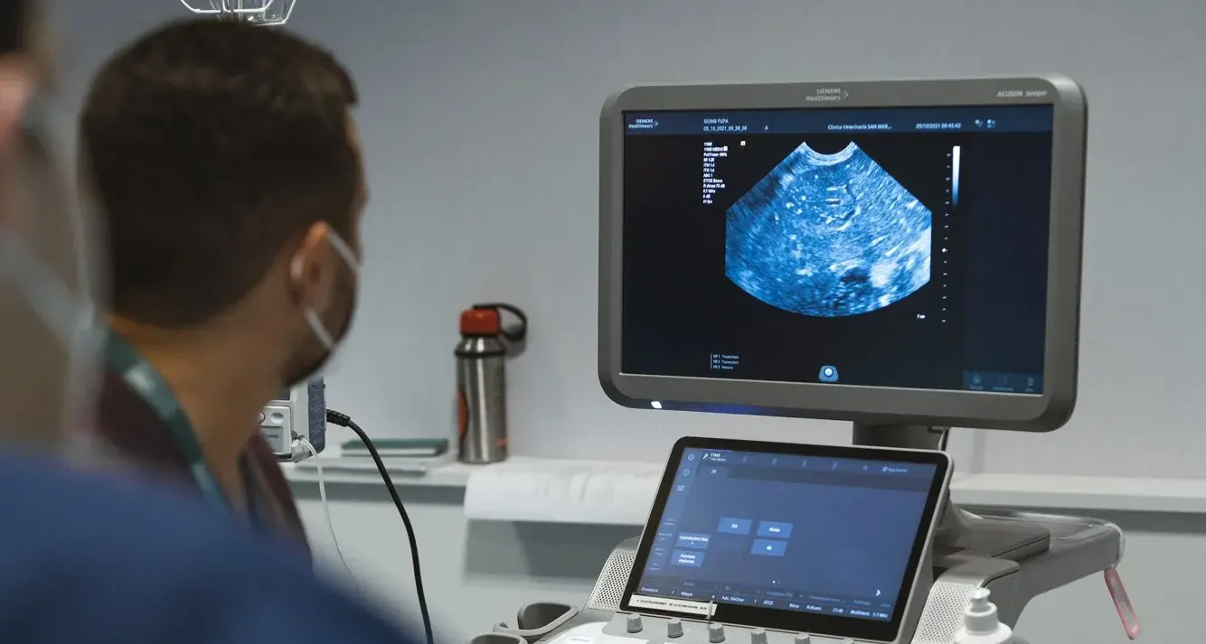 A Catanzaro la formazione nazionale SIUMB: oltre 300 professionisti per il corso di ultrasonologia
