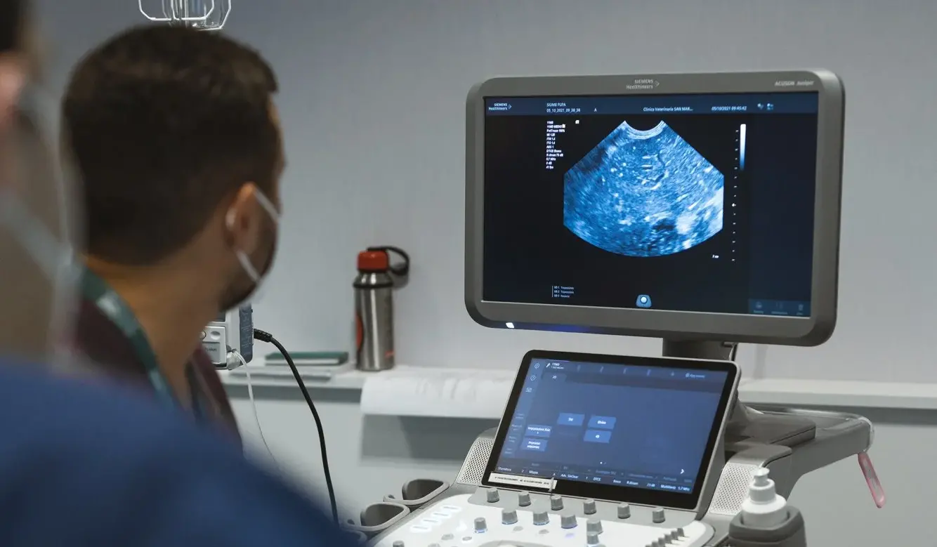 A Catanzaro la formazione nazionale SIUMB: oltre 300 professionisti per il corso di ultrasonologia