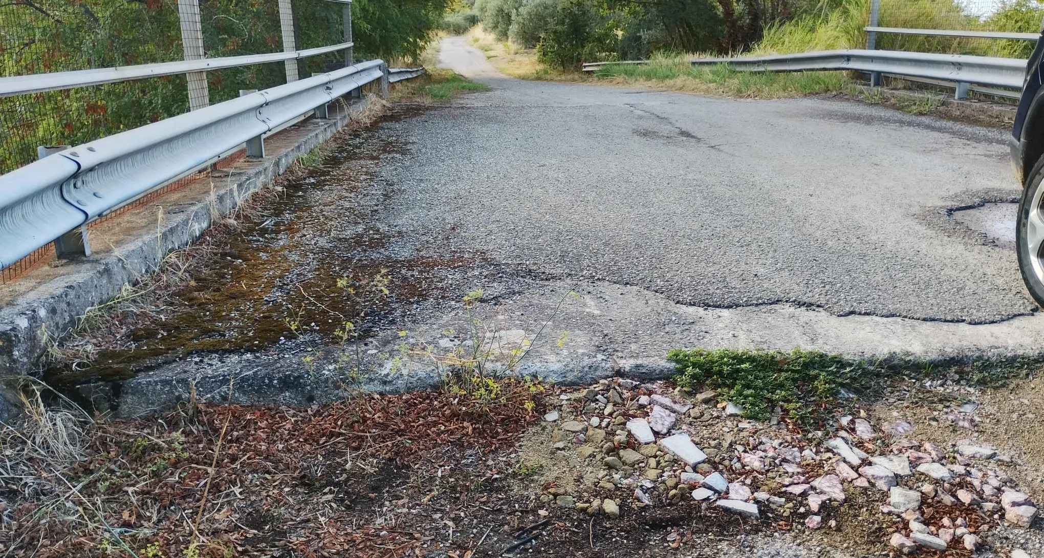 SS 107, cittadini chiedono controlli vicino al cimitero di Cosenza: «Intervenire prima che accada qualcosa»\n