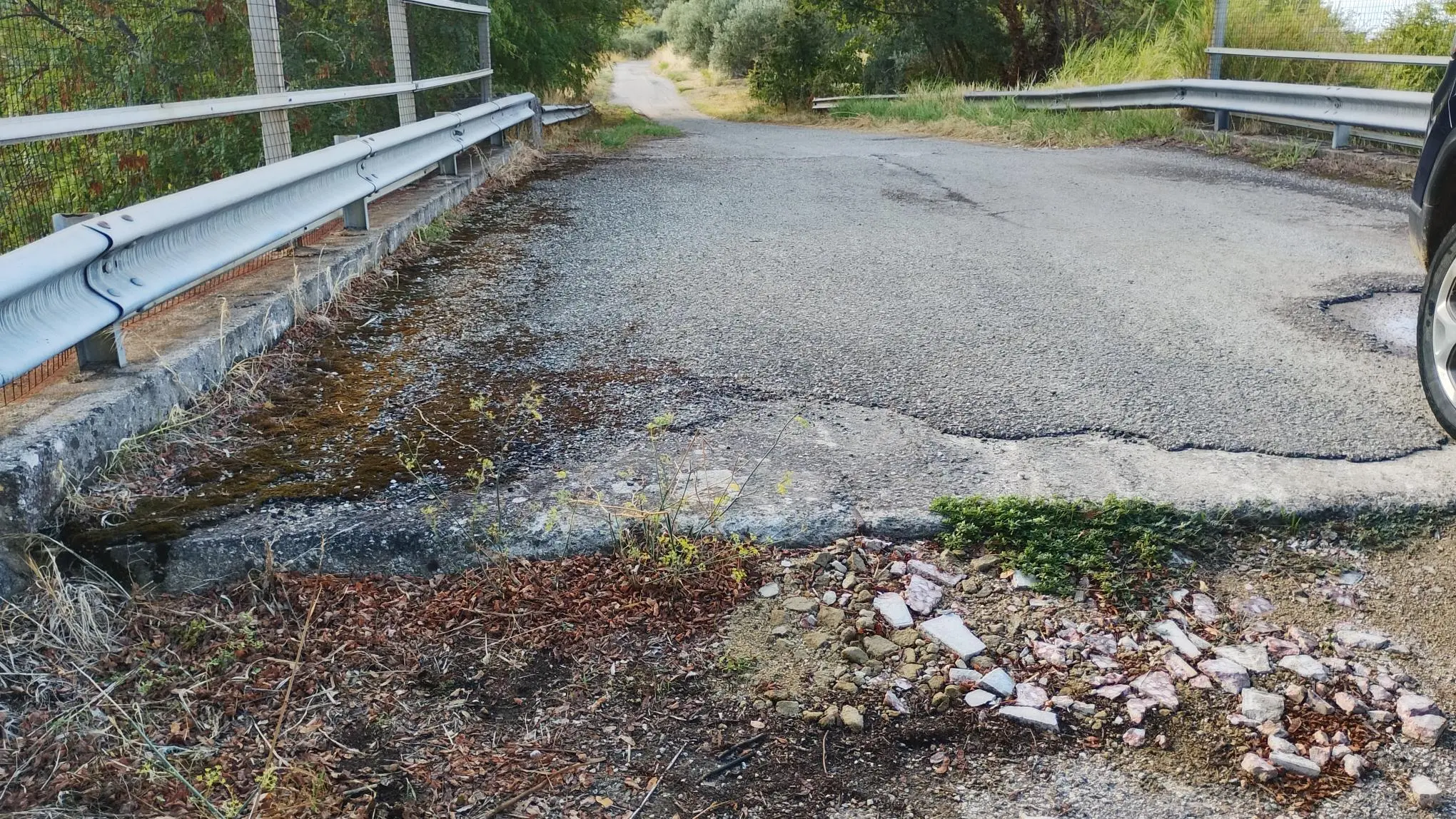 SS 107, cittadini chiedono controlli vicino al cimitero di Cosenza: «Intervenire prima che accada qualcosa»\n