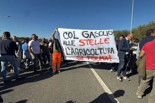 Caro carburanti, agricoltori mobilitati anche nei pressi dello svincolo autostradale\u00A0Firmo-Sibari: «Costi ormai insostenibili» –\u00A0VIDEO\n
