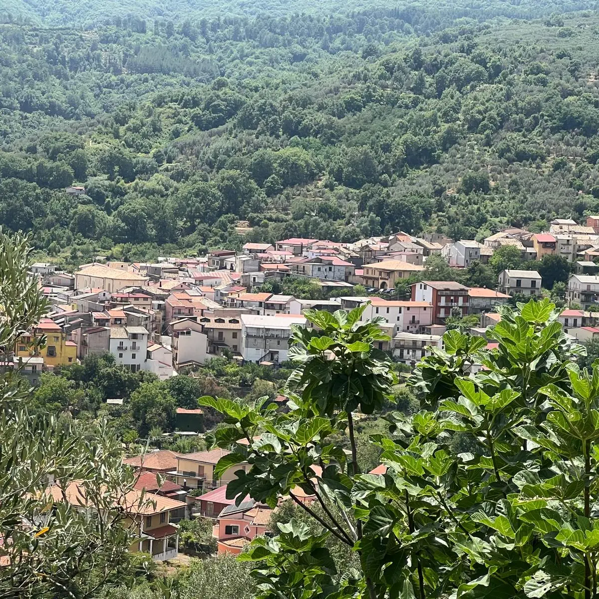 A Vallefiorita appuntamento con la \"Festa dell'Olio\": una serata di aggregazione\u00A0tra degustazioni, chef e musica dal vivo\n
