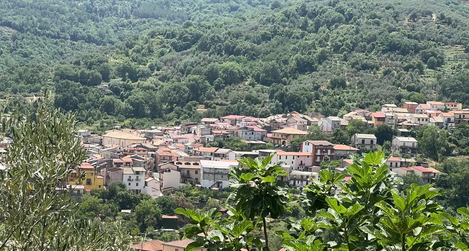 A Vallefiorita appuntamento con la \"Festa dell'Olio\": una serata di aggregazione\u00A0tra degustazioni, chef e musica dal vivo\n