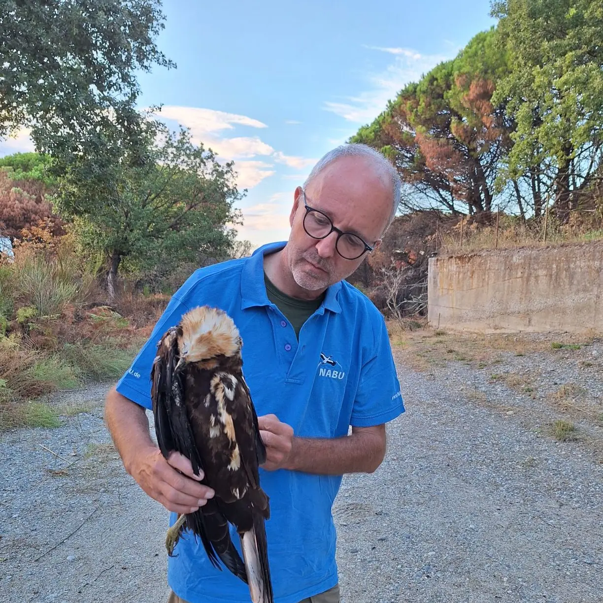 Stretto di Messina, spari contro i rapaci nell’ultimo rifugio prima dell’Africa: Legambiente contro\u00A0il bracconaggio nell’Aspromonte\n