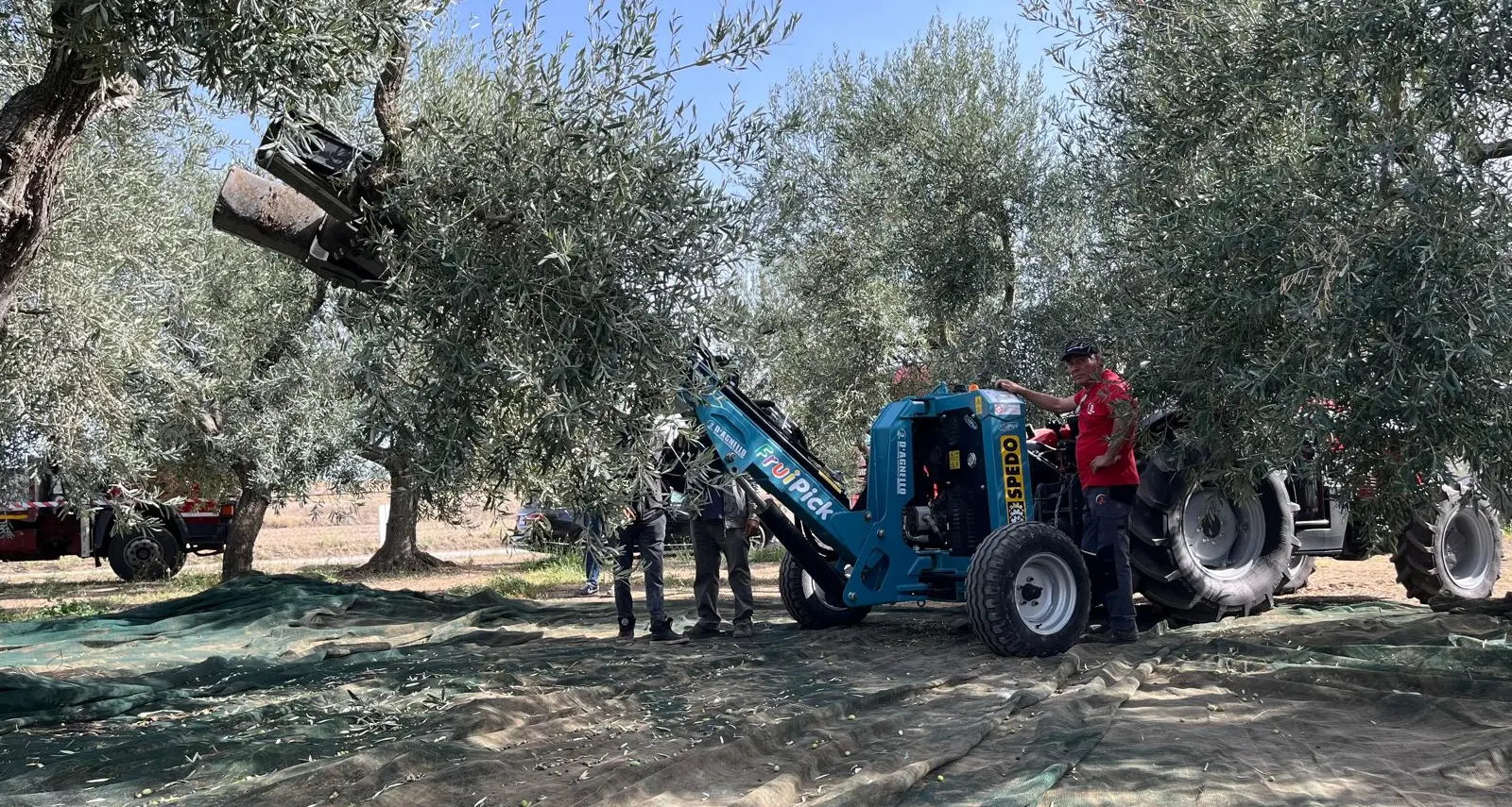 Academy Olivo in Campo Calabria, alla due giorni anche il ministro Lollobrigida: il programma completo\n