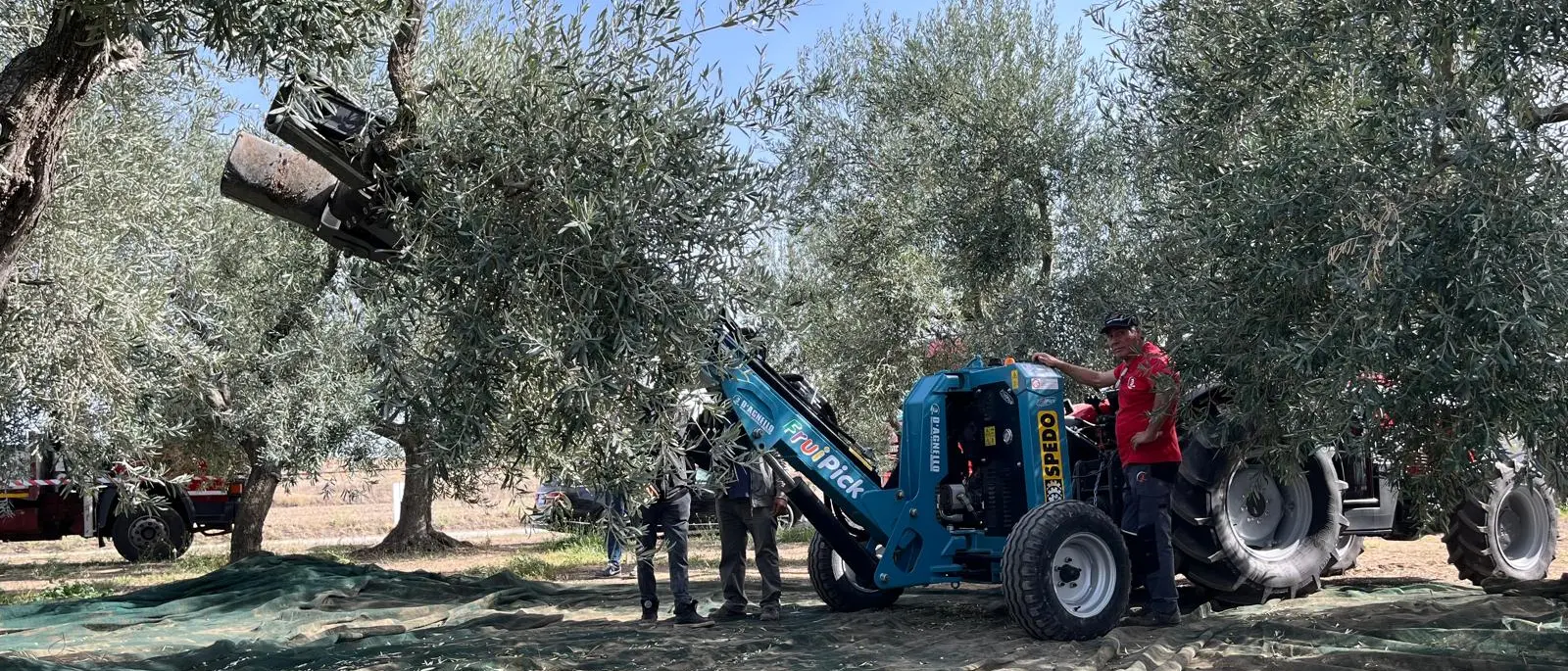 Academy Olivo in Campo Calabria, alla due giorni anche il ministro Lollobrigida: il programma completo\n