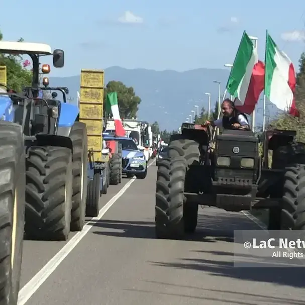 Agricoltura, in Calabria è allarme rosso: la Cia proclama lo stato di agitazione permanente\n
