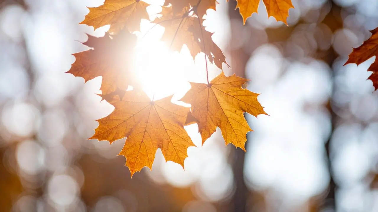 Meteo Calabria, ancora sole e temperature miti ma da mercoledì cambia tutto\n\n\n