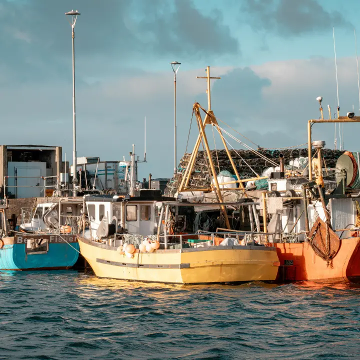 <p>Il tetto ai prezzi non vale per la pesca: «Aumenti fino al 200%». Proteste in Calabria e Sicilia</p>