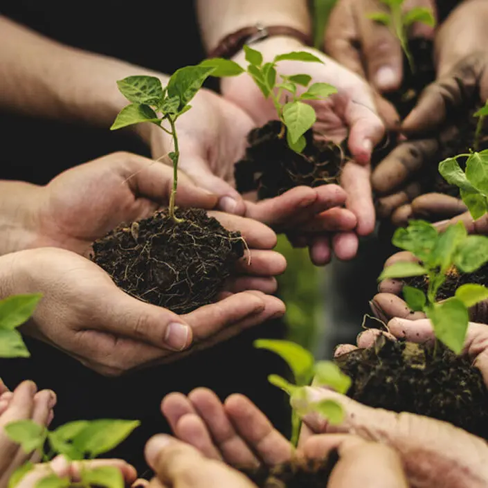 Agricoltura sociale e reinserimento: il Comune concede un terreno in comodato gratuito alla Casa Circondariale “Ugo Caridi”\n