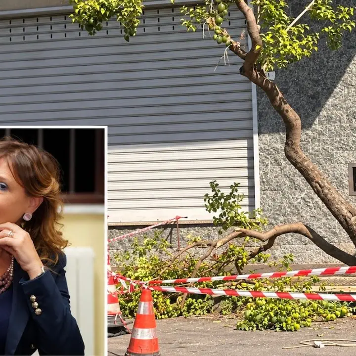 Corigliano Rossano, Fratelli d’Italia: «Stasi predica sostenibilità e progetta nuove pavimentazioni»\n