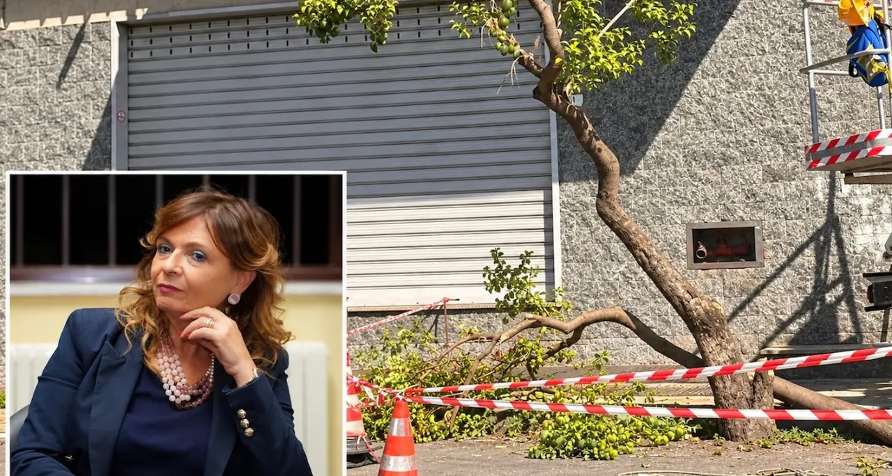 Corigliano Rossano, Fratelli d’Italia: «Stasi predica sostenibilità e progetta nuove pavimentazioni»\n