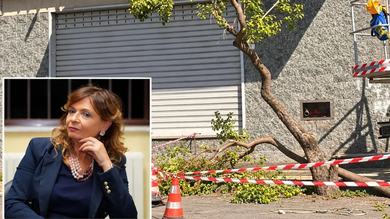 Corigliano Rossano, Fratelli d’Italia: «Stasi predica sostenibilità e progetta nuove pavimentazioni»\n