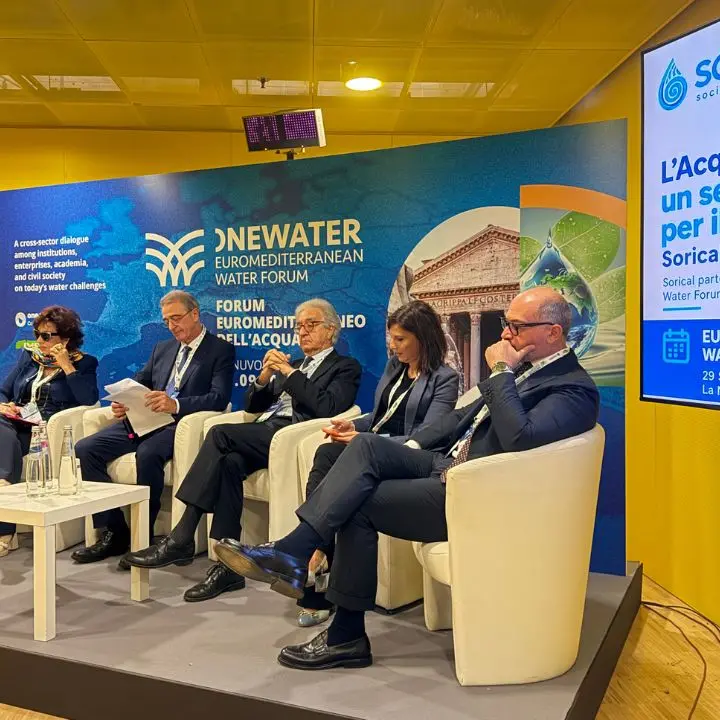 Acqua in Calabria, Sorical: «Al gestore unico servono strumenti finanziari per la transizione»\n