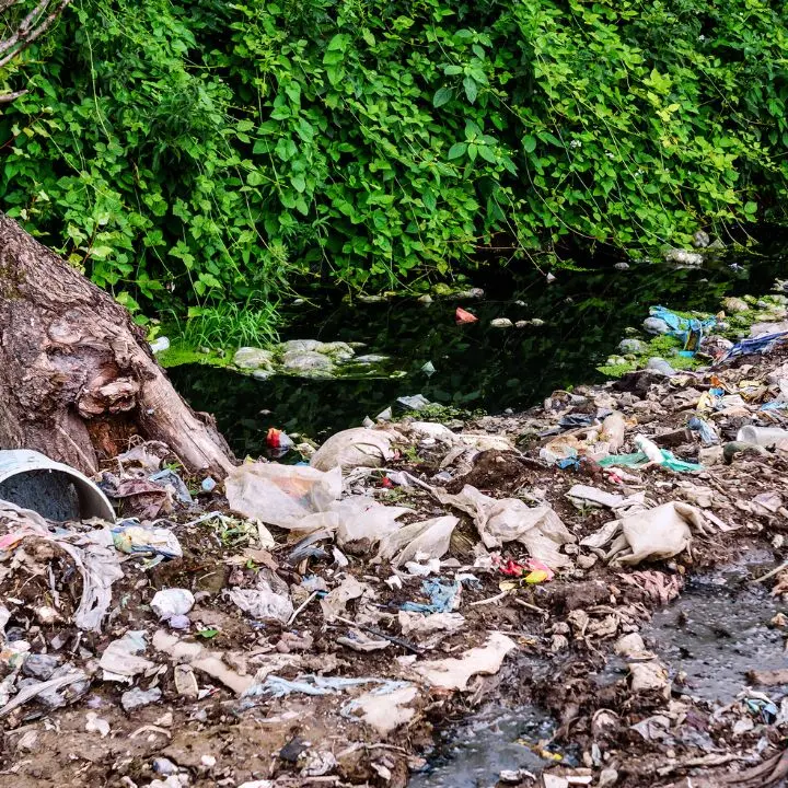 Vegetazione e discariche nei corsi d’acqua, nel 2026 le segnalazioni sono state oltre 36mila in Calabria\n
