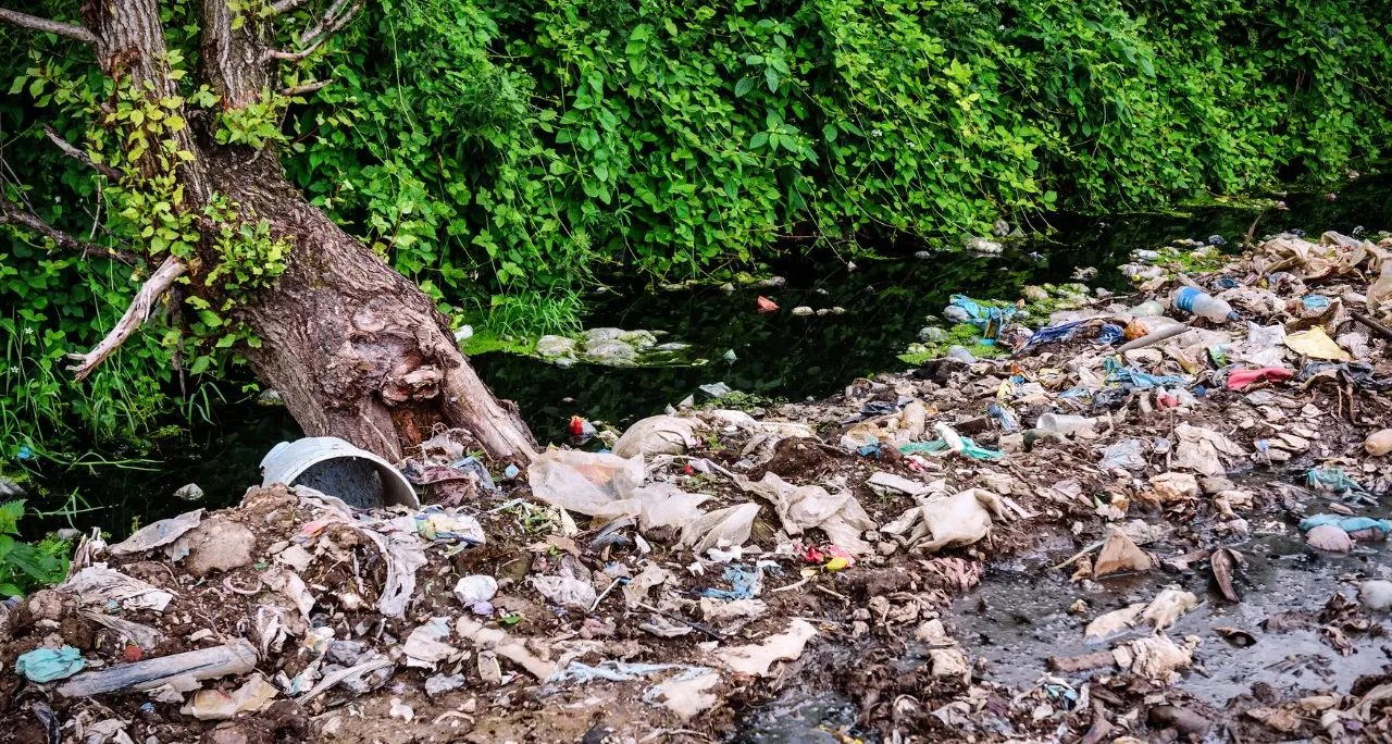 Vegetazione e discariche nei corsi d’acqua, nel 2026 le segnalazioni sono state oltre 36mila in Calabria\n