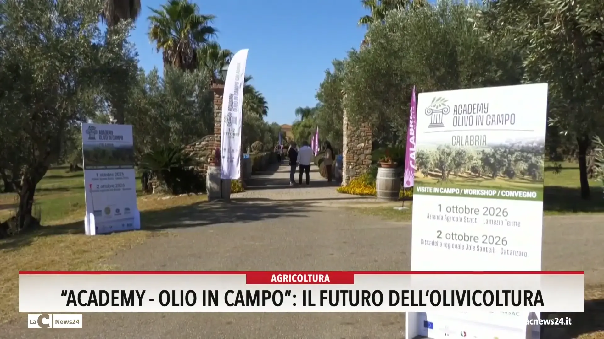 \"Academy - olio in campo\": il futuro dell'olivicoltura