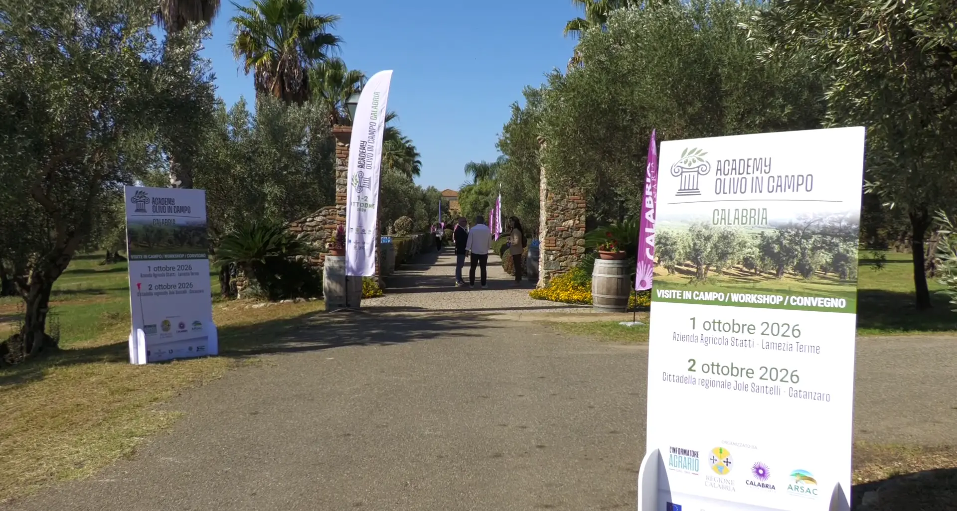 Olivicoltura, innovazione e tecnologia: a Lamezia\u00A0la prima\u00A0edizione\u00A0di “Academy Olivo in Campo – Calabria”\n
