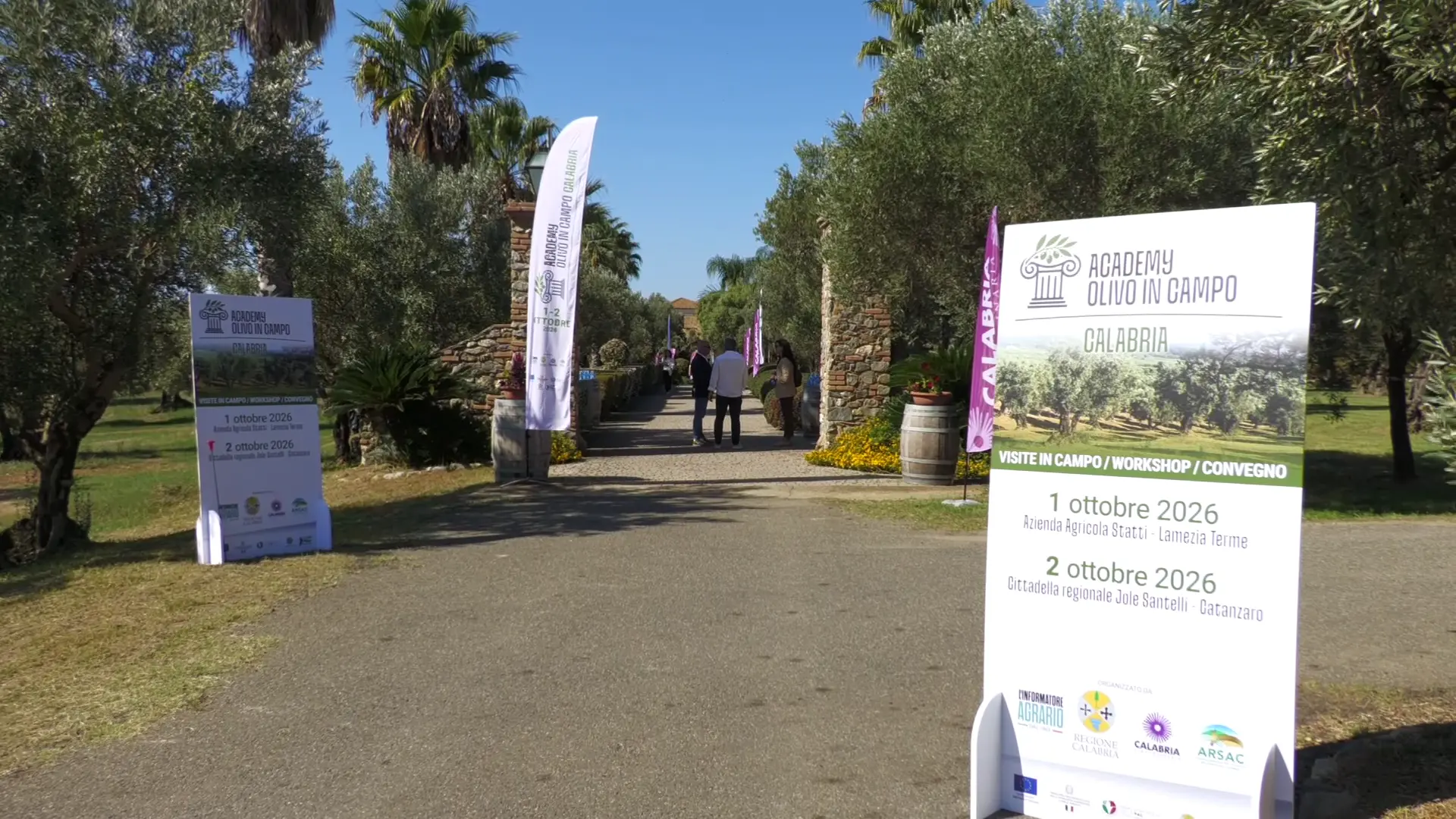 Olivicoltura, innovazione e tecnologia: a Lamezia\u00A0la prima\u00A0edizione\u00A0di “Academy Olivo in Campo – Calabria”\n