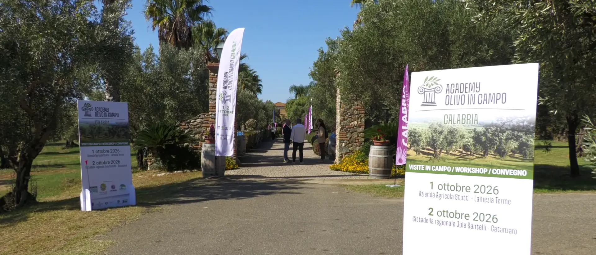 Olivicoltura, innovazione e tecnologia: a Lamezia\u00A0la prima\u00A0edizione\u00A0di “Academy Olivo in Campo – Calabria”\n