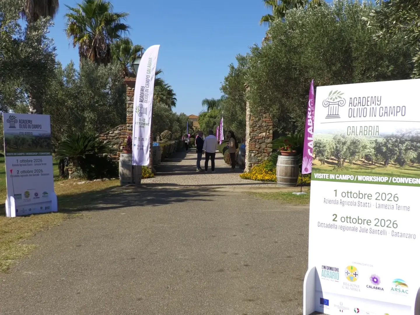 Olivicoltura, innovazione e tecnologia: a Lamezia la prima edizione di “Academy Olivo in Campo – Calabria”