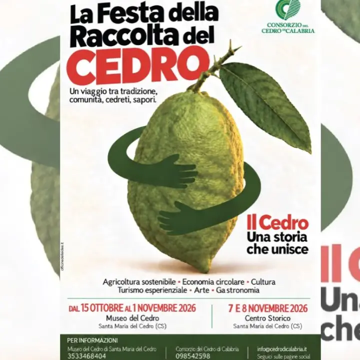 Santa Maria del Cedro, torna la Festa della raccolta: tradizioni, degustazioni e visite guidate nelle cedriere\n
