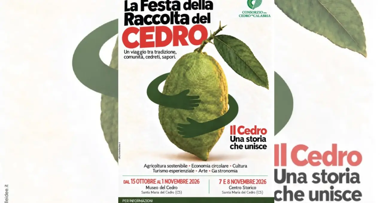 Santa Maria del Cedro, torna la Festa della raccolta: tradizioni, degustazioni e visite guidate nelle cedriere\n