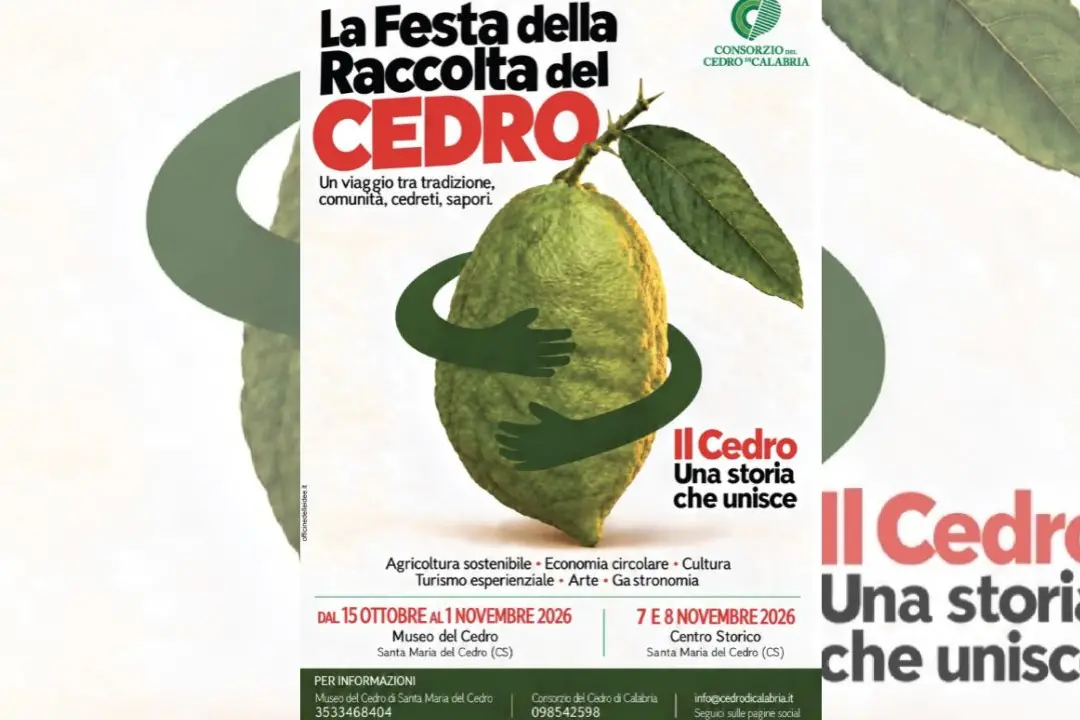 Santa Maria del Cedro, torna la Festa della raccolta: tradizioni, degustazioni e visite guidate nelle cedriere\n