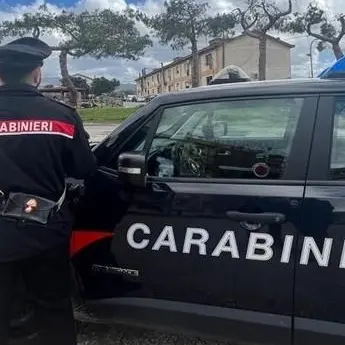 <p>Melicucco, il sindaco prelevato per un «processo» mafioso in masseria: così la ’ndrina Costa condizionava il Comune</p>