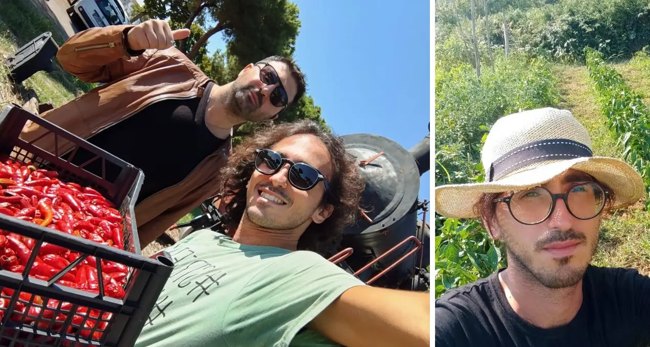 Caro carburanti, mondo agricolo calabrese in rivolta: «Siamo al punto di non ritorno, impossibile andare avanti così»\n