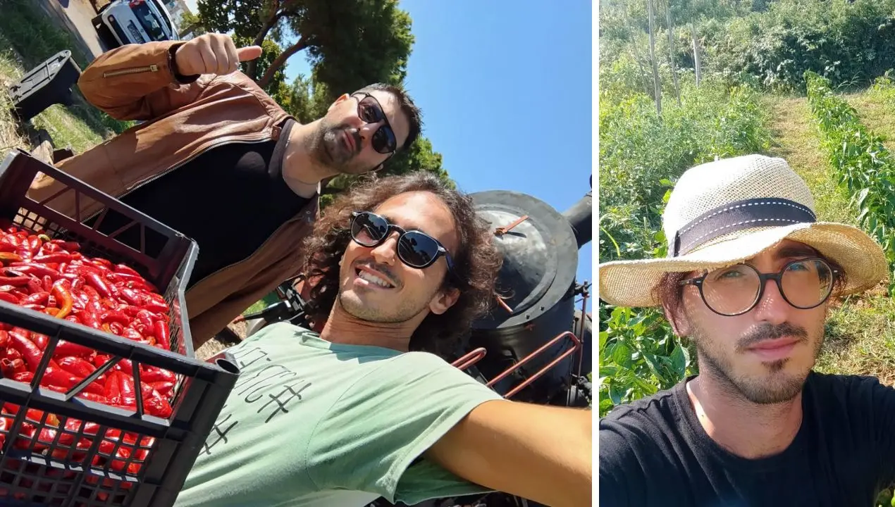 Caro carburanti, mondo agricolo calabrese in rivolta: «Siamo al punto di non ritorno, impossibile andare avanti così»\n