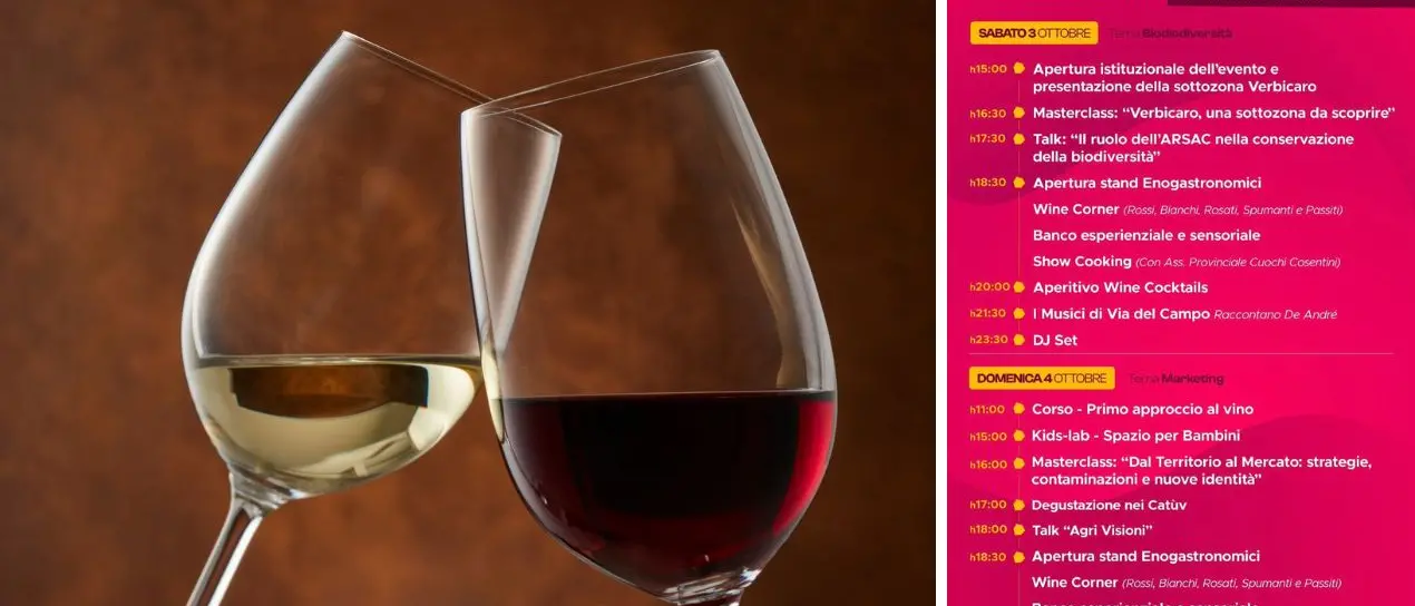 Al via il Verbicaro Wine Festival, nel borgo del Pollino due giorni tra vino, tradizione e sapori