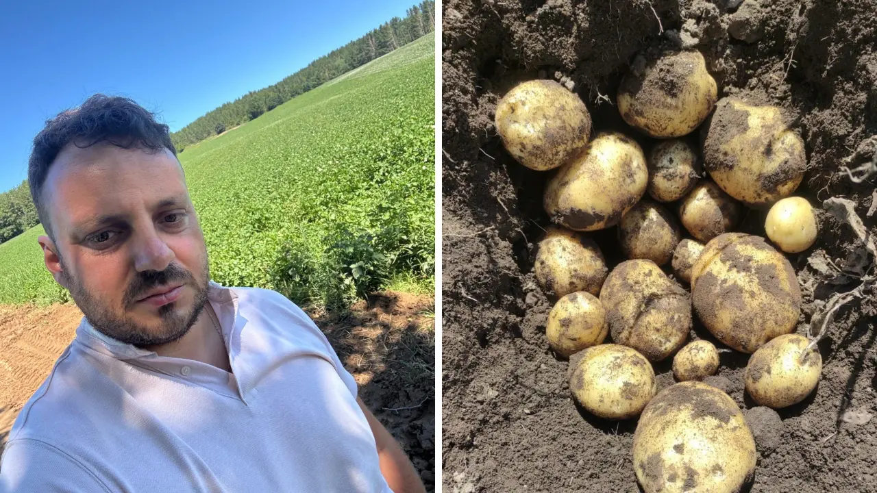 Agricoltura\u00A0in crisi, il grido dalla Sila: «Il gasolio oggi costa il doppio, così rischiamo di morire»\n