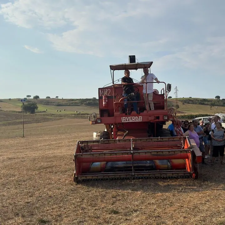 La Calabria dov’è ancora\u00A0tutta campagna: da Ciminà a Cosenza, ecco i comuni più (e meno) rurali -\u00A0LA CLASSIFICA\u00A0\n
