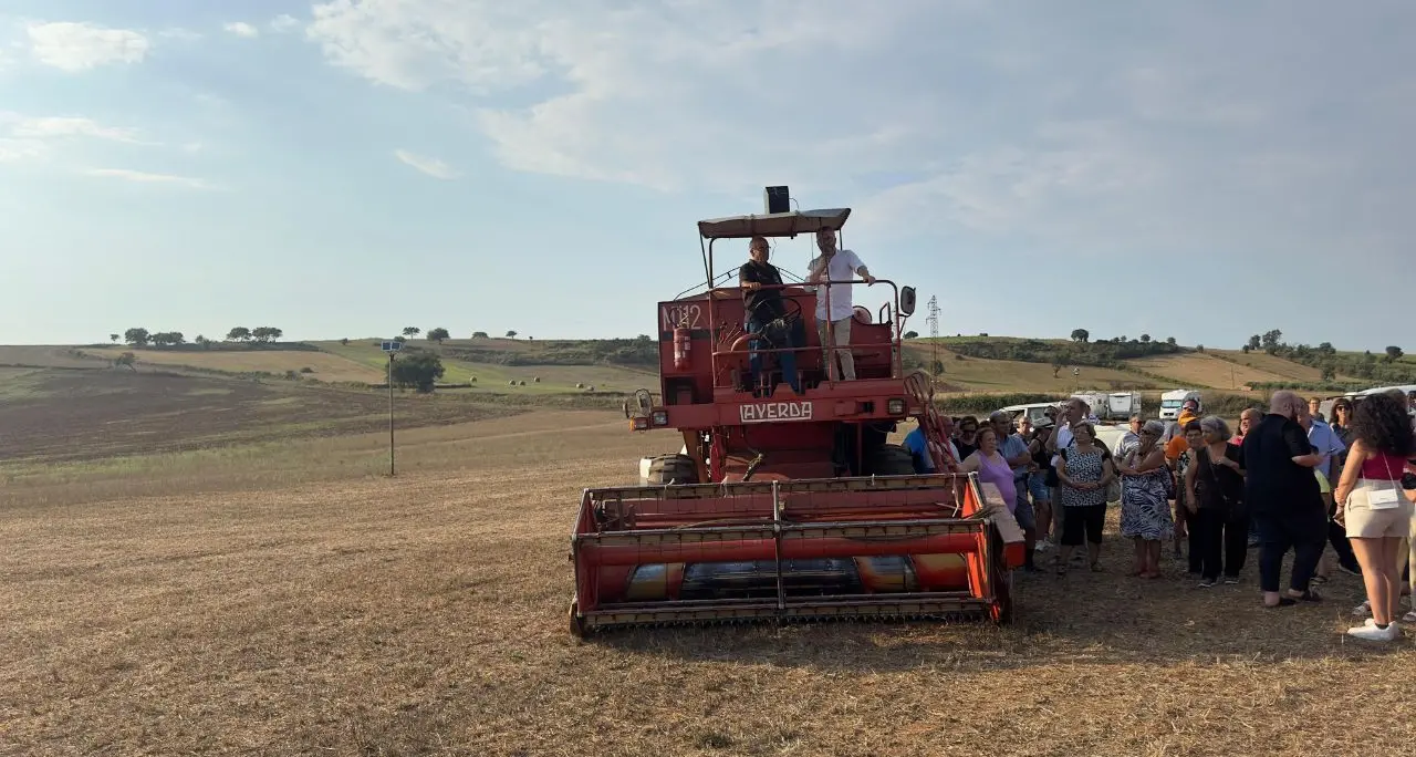 La Calabria dov’è ancora\u00A0tutta campagna: da Ciminà a Cosenza, ecco i comuni più (e meno) rurali -\u00A0LA CLASSIFICA\u00A0\n