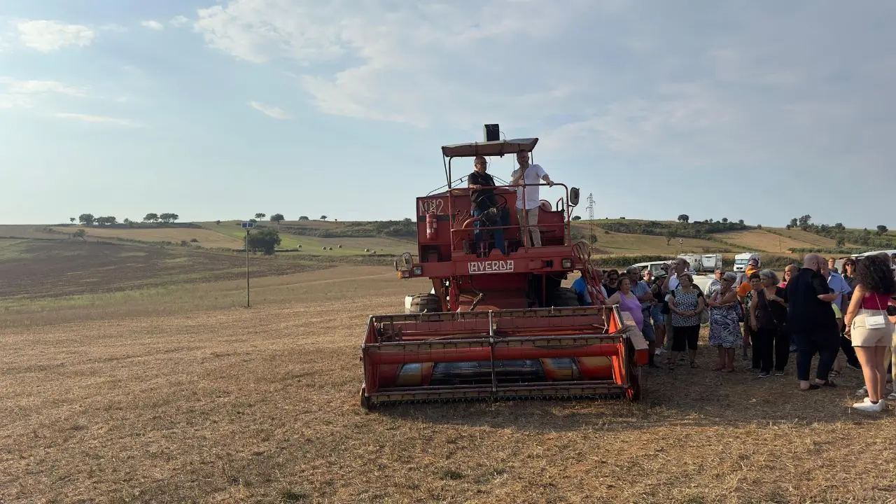 La Calabria dov’è ancora\u00A0tutta campagna: da Ciminà a Cosenza, ecco i comuni più (e meno) rurali -\u00A0LA CLASSIFICA\u00A0\n
