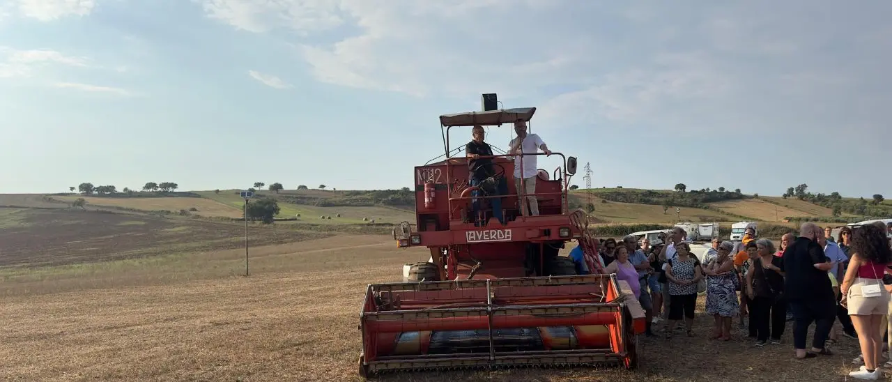 La Calabria dov’è ancora\u00A0tutta campagna: da Ciminà a Cosenza, ecco i comuni più (e meno) rurali -\u00A0LA CLASSIFICA\u00A0\n